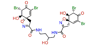 Agelocaissarine A1